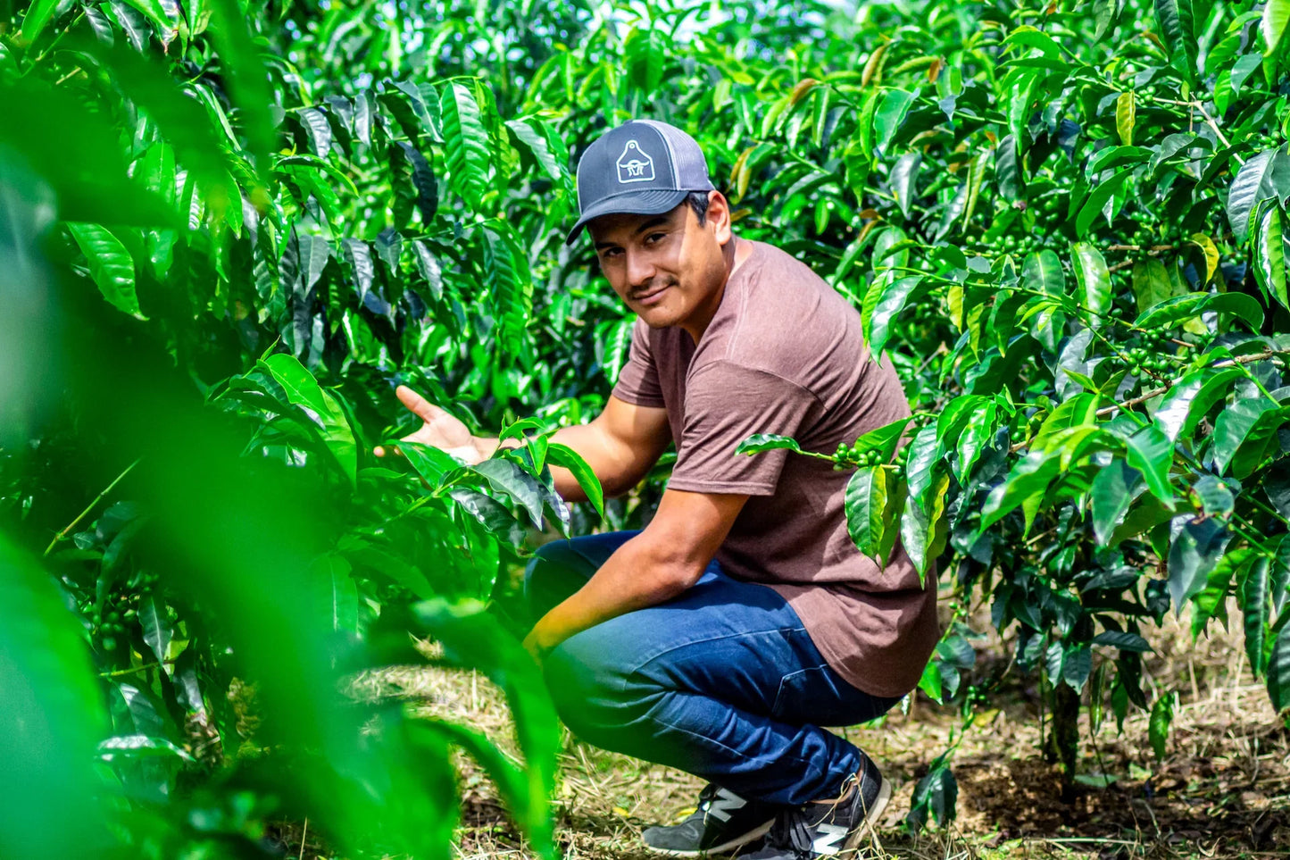 La Estrella Colombia - Geisha Lot #5 | Honey