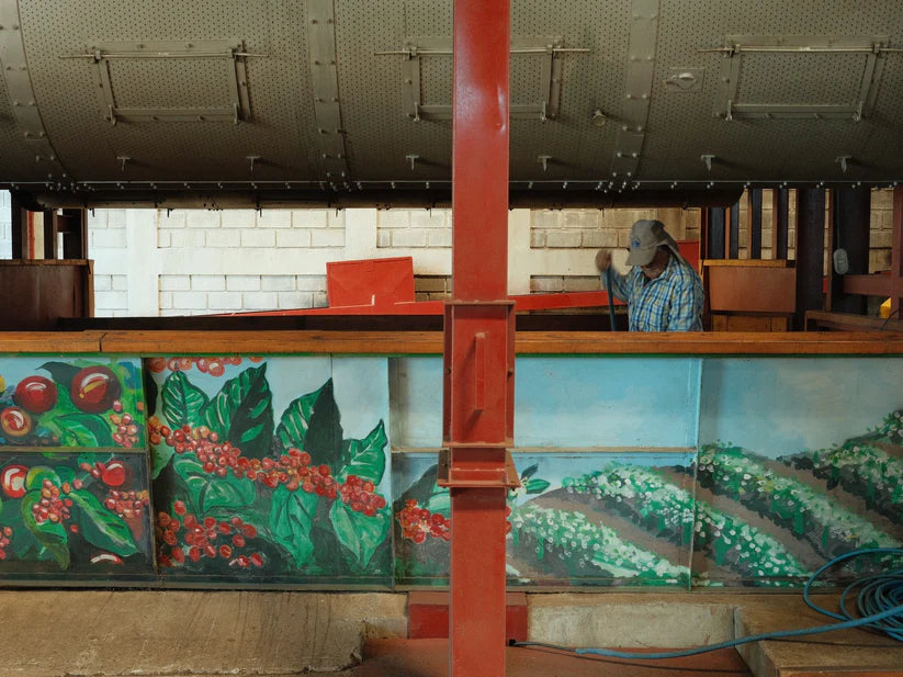 Alejo Castro, West Valley, Costa Rica - Volcan Azul SL34 | Anaerobic Natural