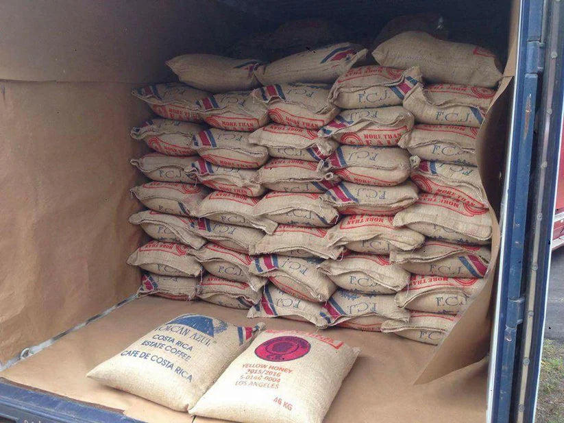 Alejo Castro, West Valley, Costa Rica - Volcan Azul SL34 | Anaerobic Natural