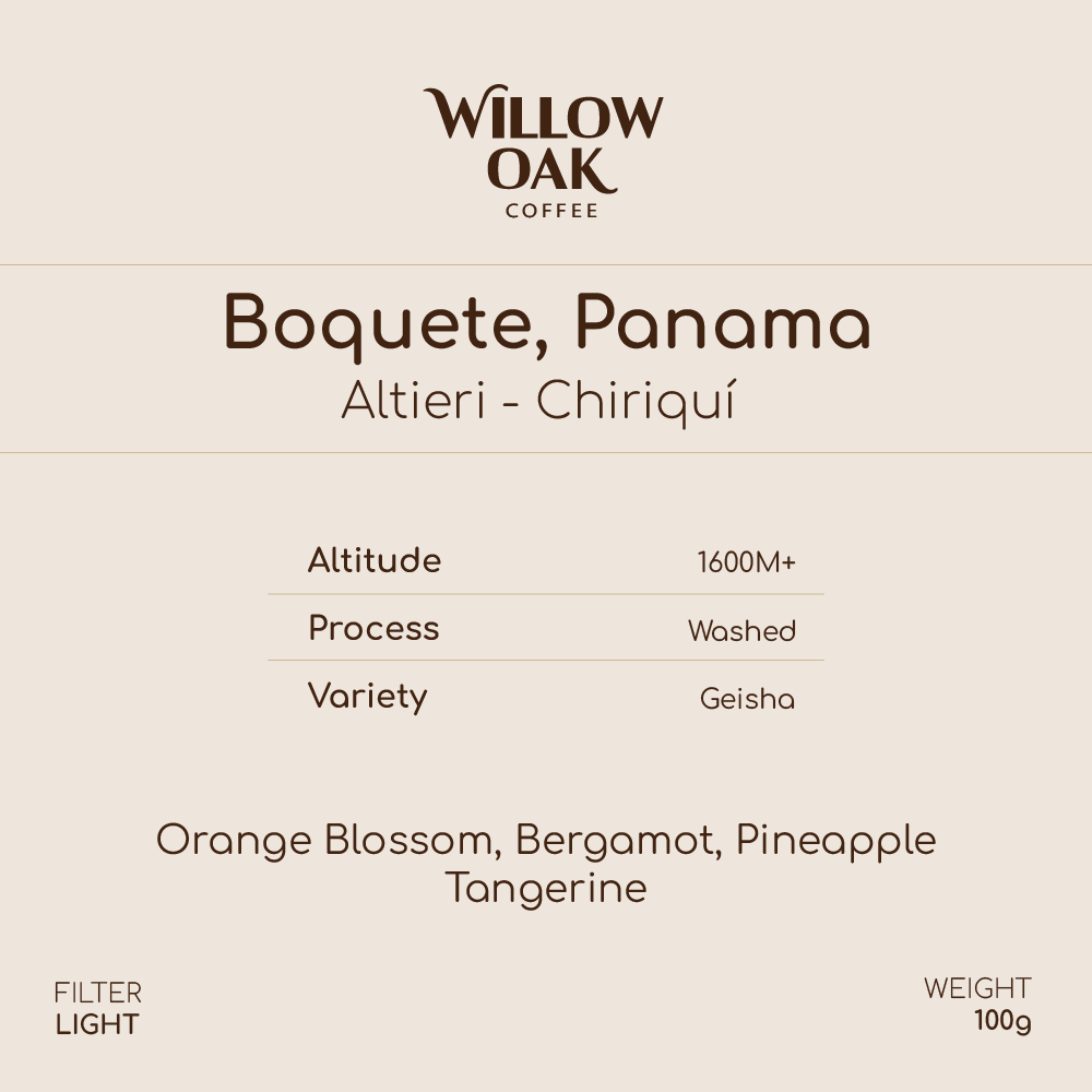 Chiriquí, Boquete, Panama - Altieri Geisha DILGO Lot | Washed