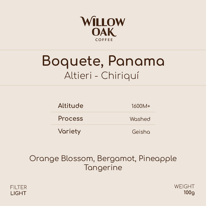 Chiriquí, Boquete, Panama - Altieri Geisha DILGO Lot | Washed