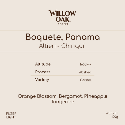 Chiriquí, Boquete, Panama - Altieri Geisha DILGO Lot | Washed