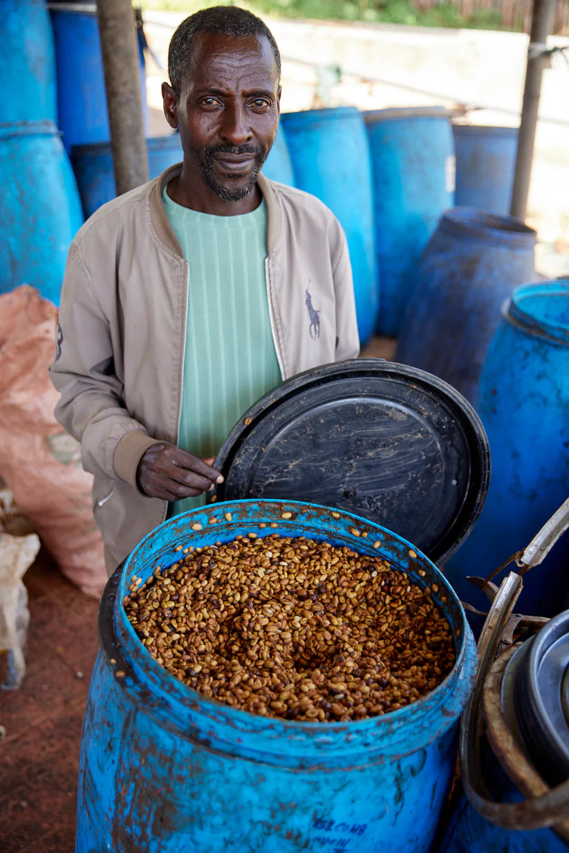Qunqana, Sidama, Ethiopia - Qunqana Heirloom | Washed