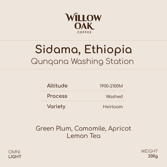 Qunqana, Sidama, Ethiopia - Qunqana Heirloom | Washed
