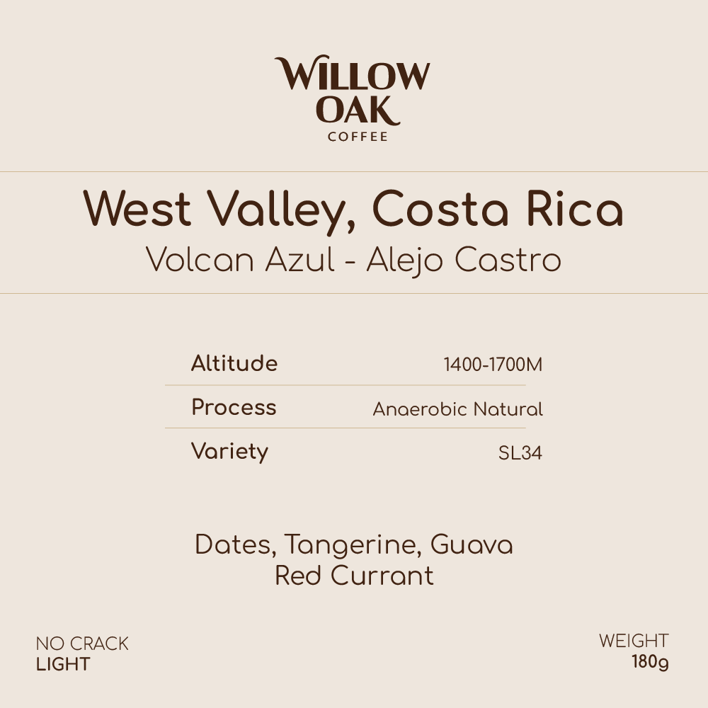 Alejo Castro, West Valley, Costa Rica - Volcan Azul SL34 | Anaerobic Natural