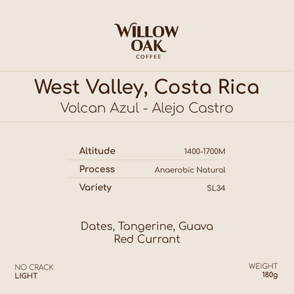 Alejo Castro, West Valley, Costa Rica - Volcan Azul SL34 | Anaerobic Natural