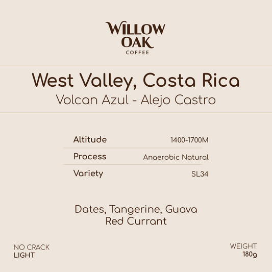 Alejo Castro, West Valley, Costa Rica - Volcan Azul SL34 | Anaerobic Natural